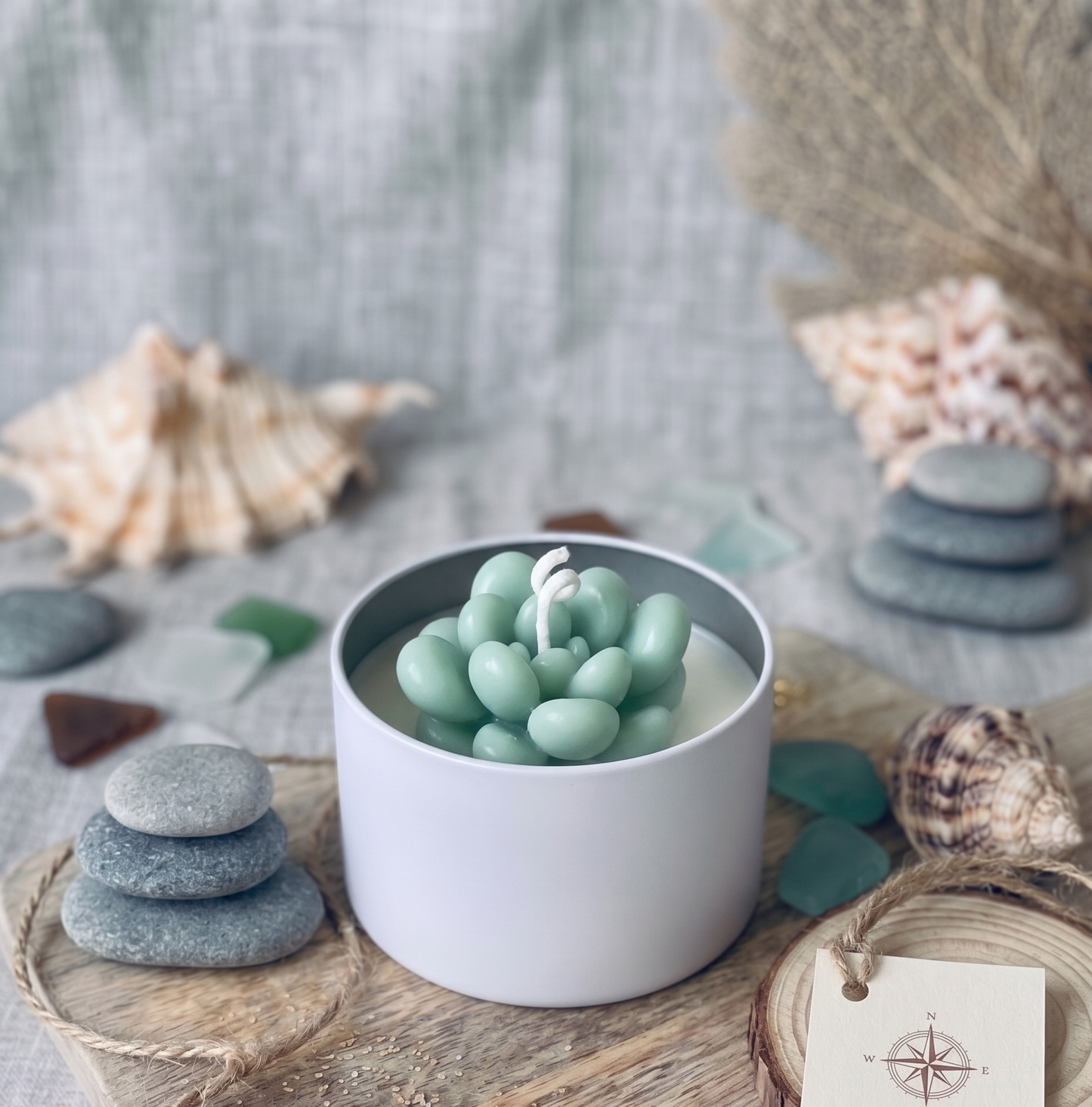 Cactus Jar Candle — Seafoam Bubble Succulent | Soy Wax, Handmade in USA
