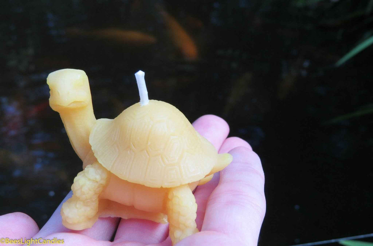Little Turtle Beeswax Candle