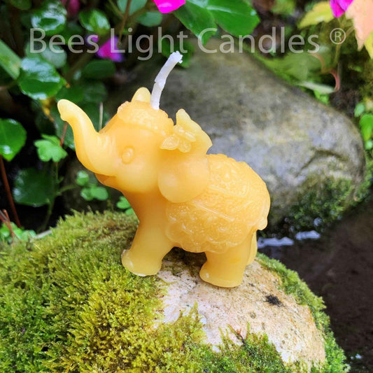 African Elephant Beeswax Candle